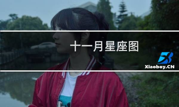 十一月星座图
