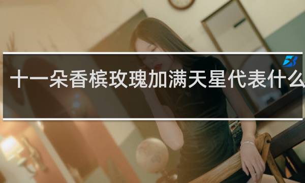 十一朵香槟玫瑰加满天星代表什么意思