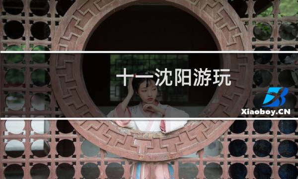 十一沈陽游玩