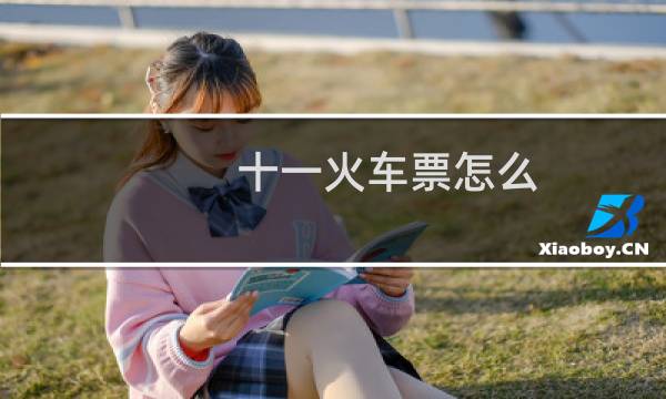 十一火车票怎么