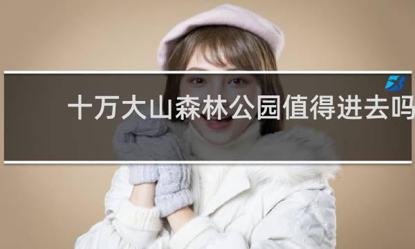 十万大山森林公园值得进去吗