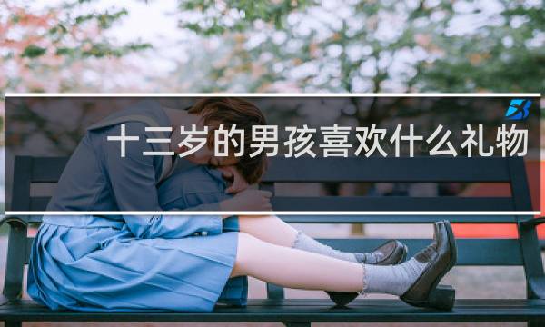 十三岁的男孩喜欢什么礼物
