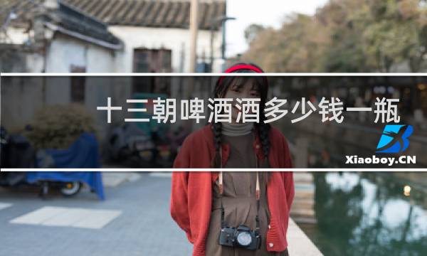 十三朝啤酒酒多少钱一瓶