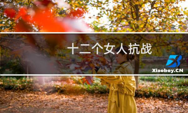 十二个女人抗战