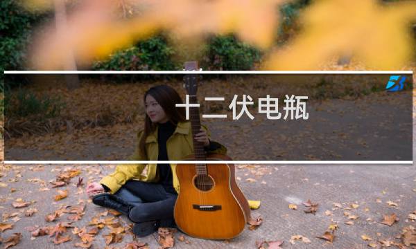 十二伏电瓶