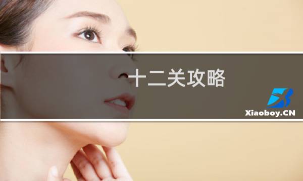 十二关攻略