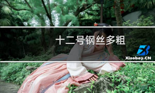 十二号钢丝多粗