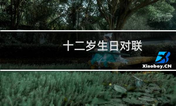 十二岁生日对联