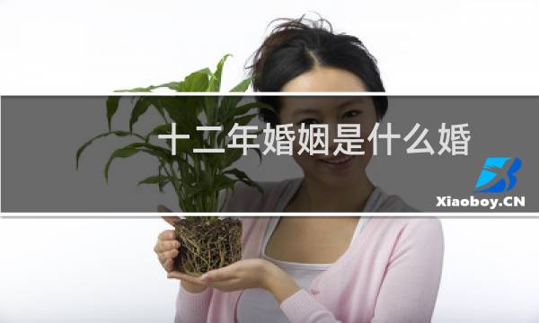 十二年婚姻是什么婚