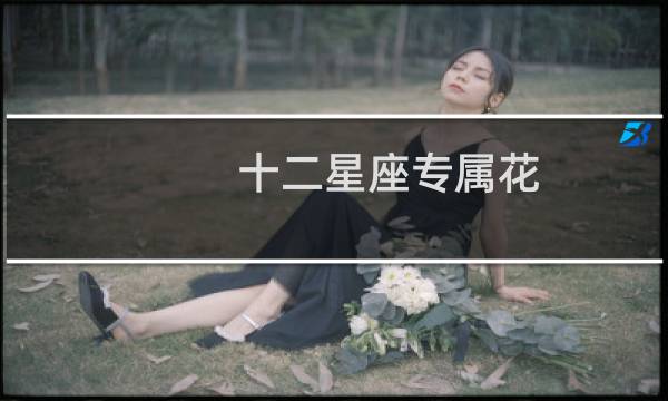 十二星座专属花