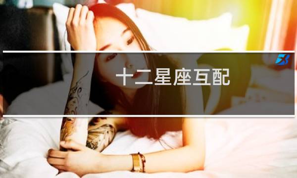 十二星座互配