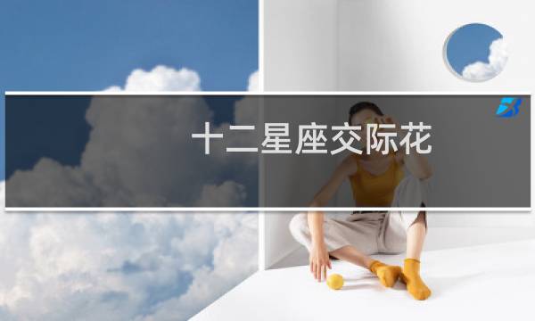 十二星座交际花
