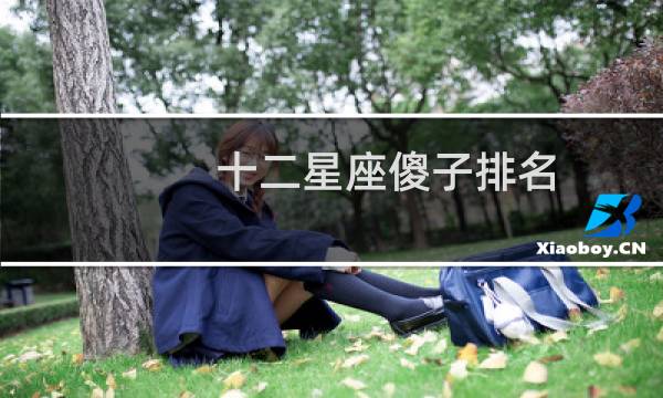 十二星座傻子排名