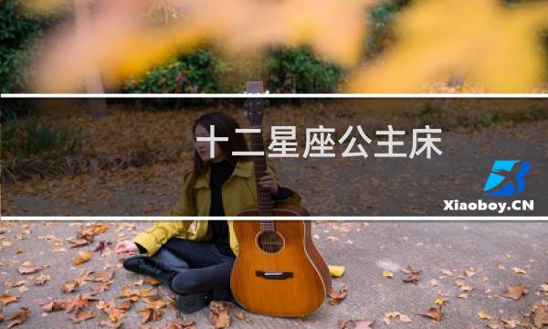 十二星座公主床