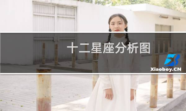 十二星座分析图