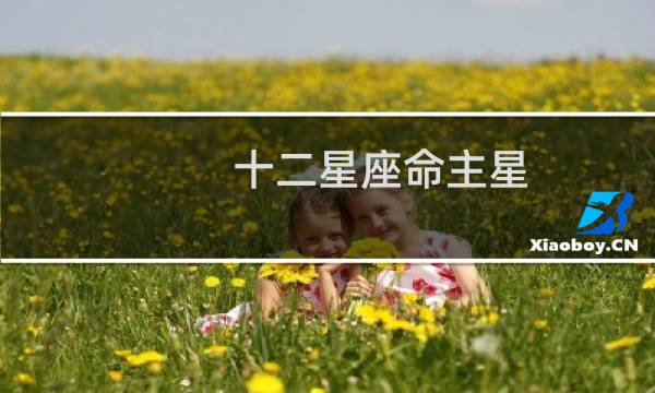 十二星座命主星