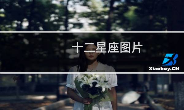 十二星座图片