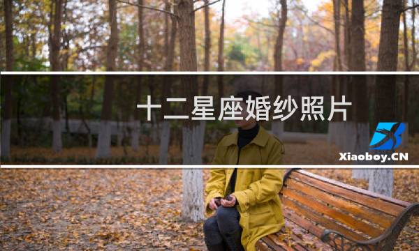 十二星座婚纱照片