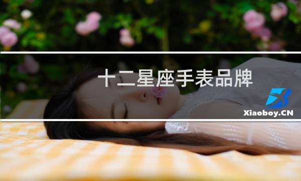 十二星座手表品牌