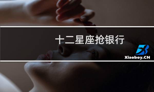 十二星座抢银行