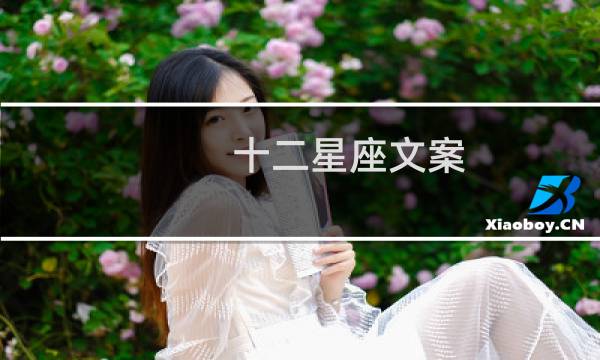 十二星座文案