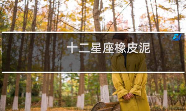 十二星座橡皮泥