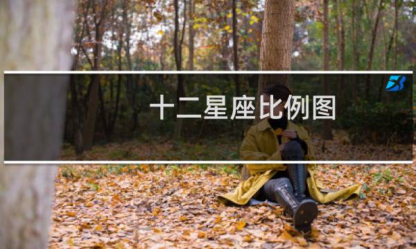 十二星座比例图
