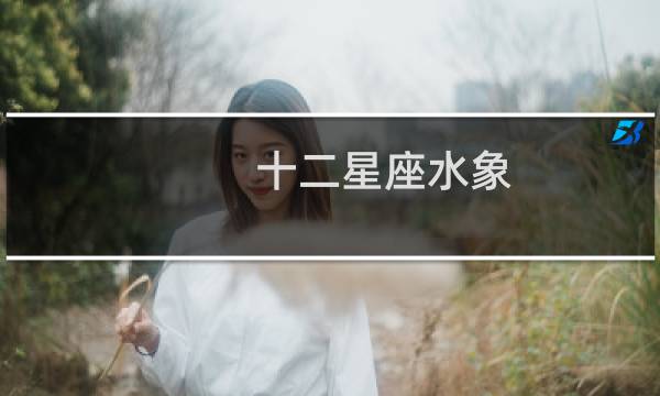 十二星座水象