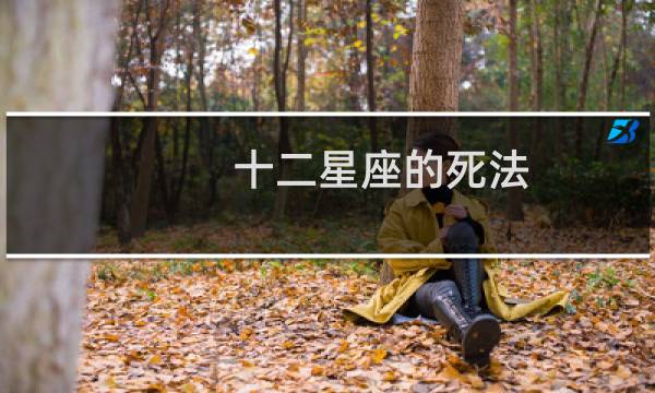 十二星座的死法