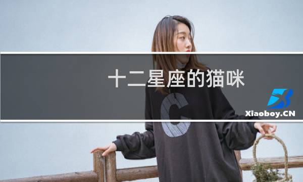 十二星座的猫咪