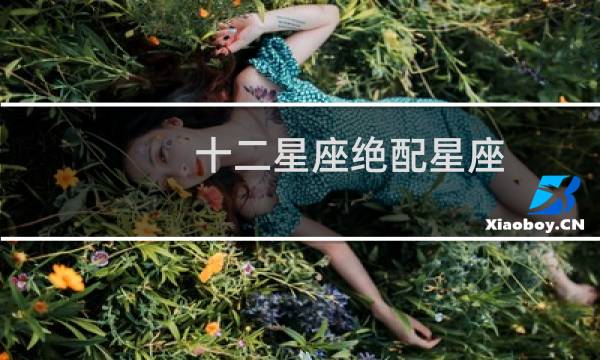 十二星座绝配星座