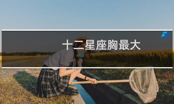 十二星座胸最大