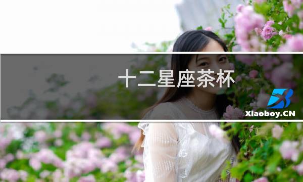 十二星座茶杯