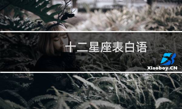 十二星座表白语