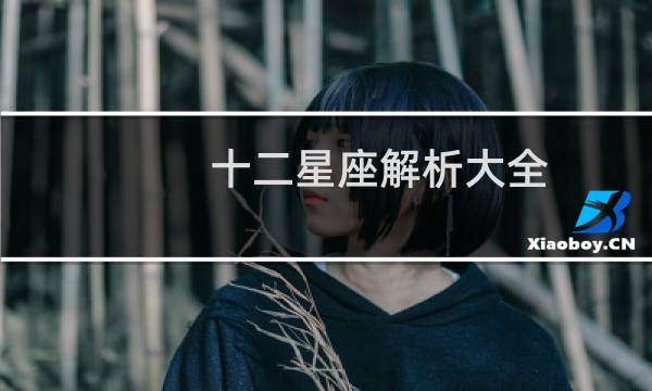 十二星座解析大全