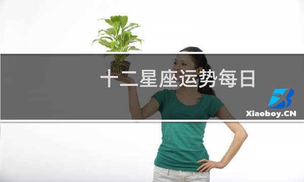 十二星座运势每日