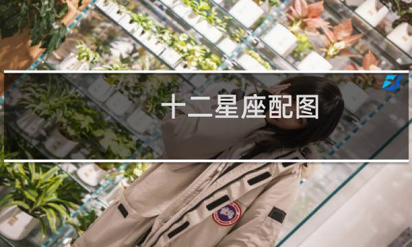 十二星座配图