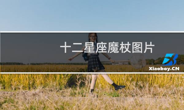 十二星座魔杖图片