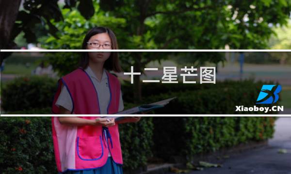十二星芒图