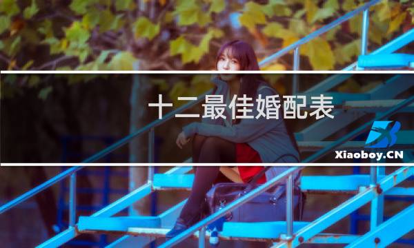 十二最佳婚配表