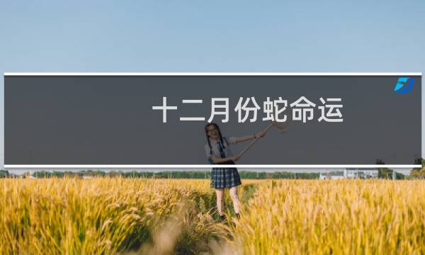 十二月份蛇命运