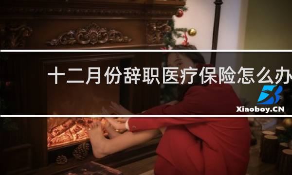 十二月份辞职医疗保险怎么办
