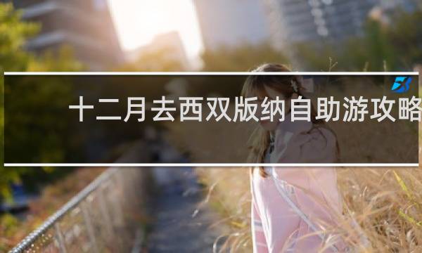 十二月去西双版纳自助游攻略
