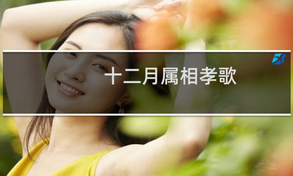 十二月属相孝歌