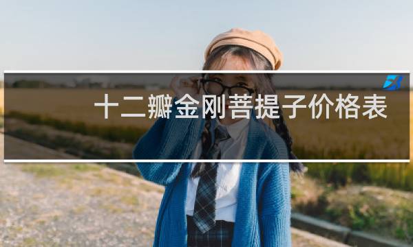 十二瓣金刚菩提子价格表
