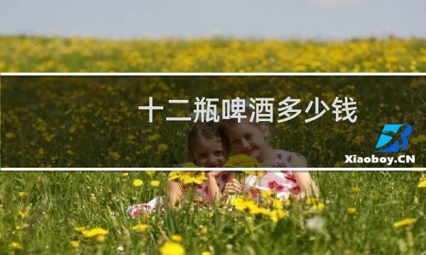 十二瓶啤酒多少钱