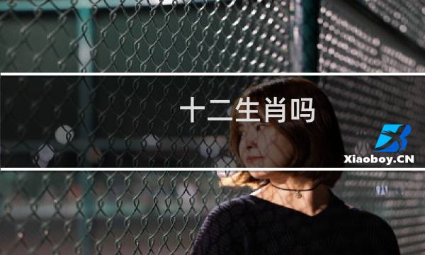 十二生肖吗