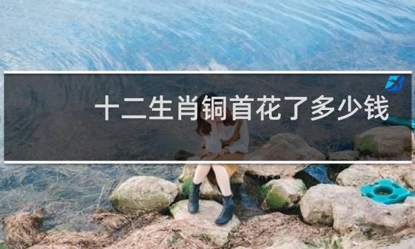 十二生肖铜首花了多少钱