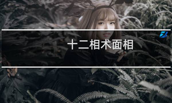 十二相术面相