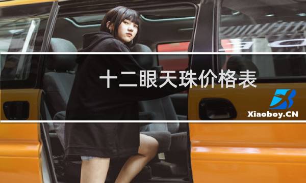 十二眼天珠价格表
